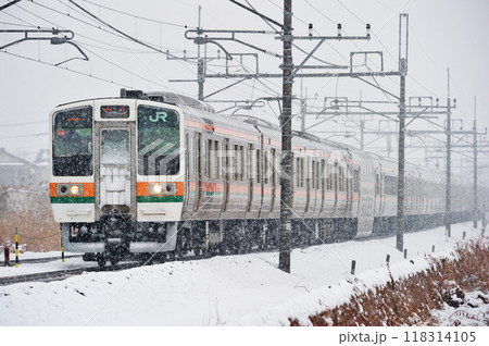 東北本線　東鷲宮ー栗橋　JR東日本　211系　C1編成（高崎） 118314105