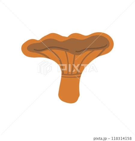 Illustration of an orange mushroom with a simple design. Perfect for nature, autumn, forest-themed content, or playful botanical art with earthy tones 118314158