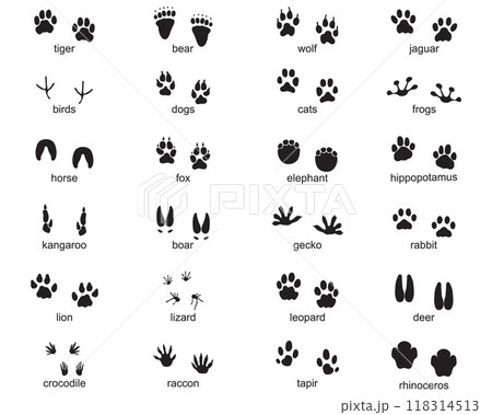 Set of footprints of wild animals, illustration of black silhouette 118314513