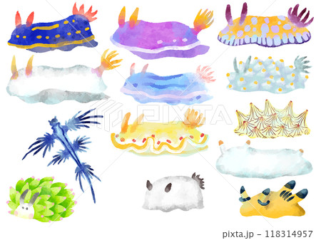 いろいろなウミウシのイラスト 手描き 水彩風 いろいろなウミウシのイラスト 手描き 水彩風 118314957