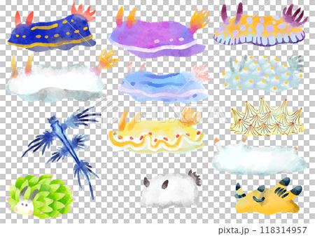 いろいろなウミウシのイラスト 手描き 水彩風 いろいろなウミウシのイラスト 手描き 水彩風 118314957