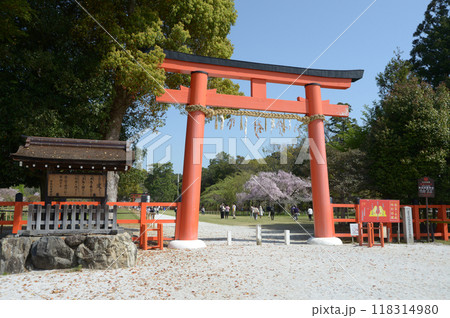 上賀茂神社 一の鳥居 京都市北区 上賀茂神社 一の鳥居 京都市北区 118314980