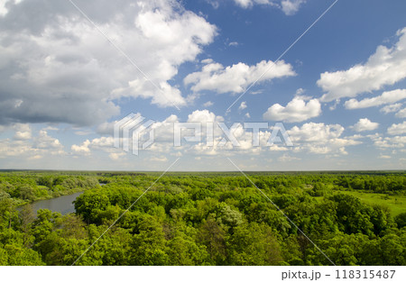 Peaceful atmosphere of white clouds, river and green forest Peaceful atmosphere of white clouds, river and green forest 118315487