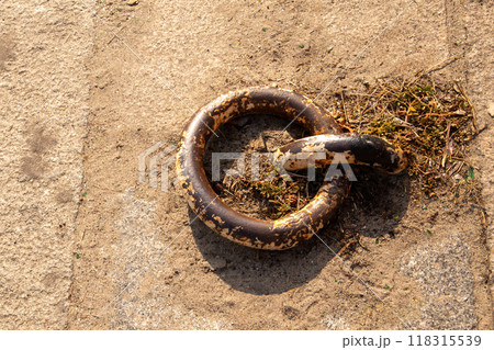 Old and rusty mooring ring for ships fixing. Old and rusty mooring ring for ships fixing. 118315539