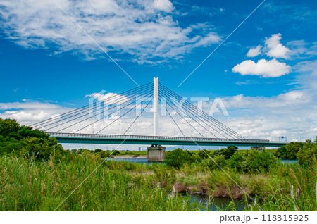 淀川に架かる有料橋 鳥飼仁和寺大橋 淀川に架かる有料橋 鳥飼仁和寺大橋 118315925