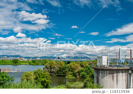 淀川風景 鳥飼大橋下流側 淀川風景 鳥飼大橋下流側 118315936