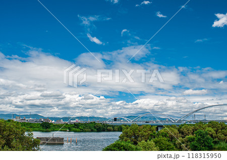 淀川風景　鳥飼大橋下流側 118315950