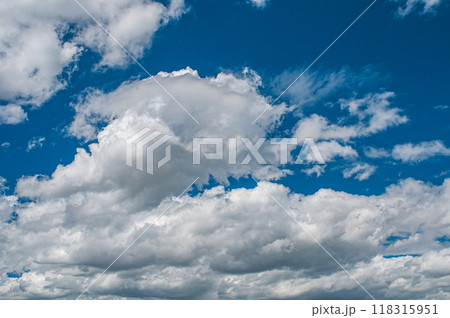 青空に浮かぶ綿雲 青空に浮かぶ綿雲 118315951