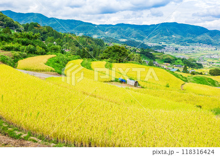秋の信州　姨捨の棚田 118316424