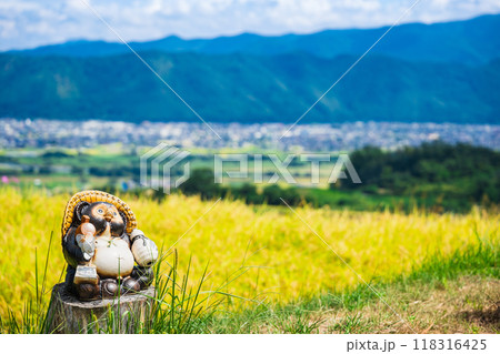 秋の信州　姨捨の田園風景 118316425