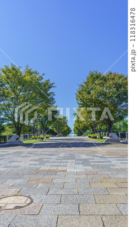 【東京都江戸川区】葛西臨海公園・入口(中央園路) 【東京都江戸川区】葛西臨海公園・入口(中央園路) 118316478