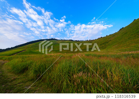2024年すすきが開花し始めた初秋の曽爾高原 夕暮れ時の倶留尊山と亀山① 2024年すすきが開花し始めた初秋の曽爾高原 夕暮れ時の倶留尊山と亀山① 118316539
