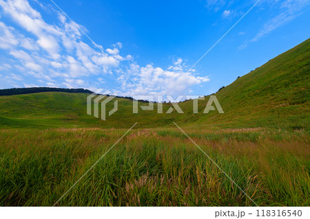 2024年すすきが開花し始めた初秋の曽爾高原 夕暮れ時の倶留尊山と亀山② 2024年すすきが開花し始めた初秋の曽爾高原 夕暮れ時の倶留尊山と亀山② 118316540