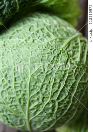 低農薬栽培のちりめんキャベツ 新鮮生野菜 低農薬栽培のちりめんキャベツ 新鮮生野菜 118316973