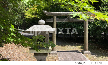 もみじと鳥居と石灯籠 118317060