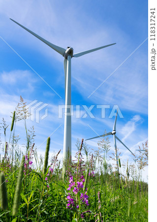 Windmills making green energy on the hill with blooming fireweed. 118317241