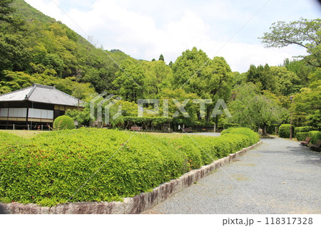 龍野　旧市街地　龍野城跡　庭園 118317328