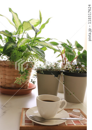 観葉植物とコーヒー 118317624