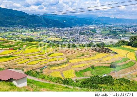秋の信州 姨捨の棚田と千曲市 秋の信州 姨捨の棚田と千曲市 118317771