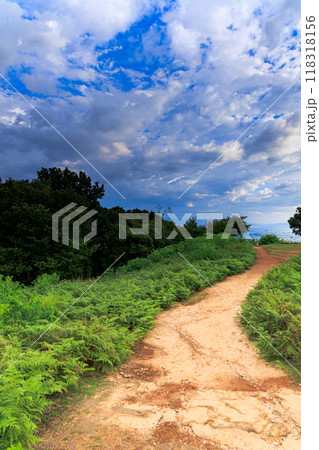 奈良若草山初秋の夕景 鶯塚古墳上空に広がる羊雲➂ 奈良若草山初秋の夕景 鶯塚古墳上空に広がる羊雲➂ 118318156