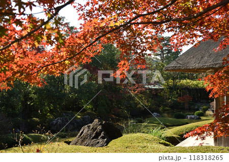 秋の退蔵院庭園 余香苑 秋の退蔵院庭園 余香苑 118318265
