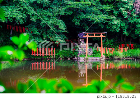 奈良県桜井市三輪所在するパワースポット八大竜王 辯財天 大神 龗神神社を撮影 奈良県桜井市三輪所在するパワースポット八大竜王 辯財天 大神 龗神神社を撮影 118318325