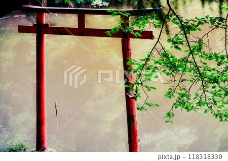 奈良県桜井市三輪所在するパワースポット八大竜王 辯財天 大神 龗神神社を撮影 118318330