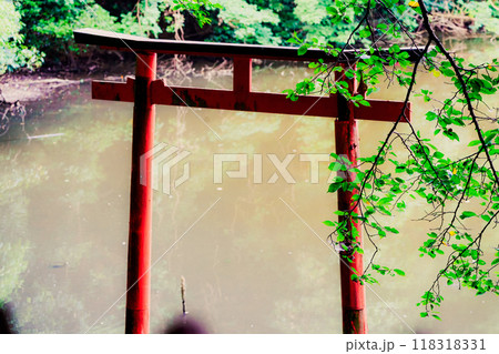 奈良県桜井市三輪所在するパワースポット八大竜王 辯財天 大神 龗神神社を撮影 118318331