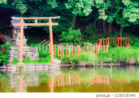 奈良県桜井市三輪所在するパワースポット八大竜王 辯財天 大神 龗神神社を撮影 118318340