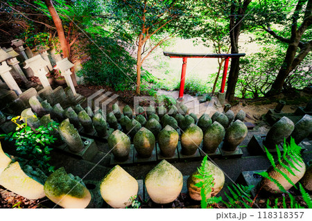 奈良県桜井市三輪所在するパワースポット八大竜王 辯財天 大神 龗神神社を撮影 奈良県桜井市三輪所在するパワースポット八大竜王 辯財天 大神 龗神神社を撮影 118318357