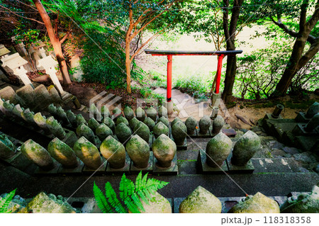 奈良県桜井市三輪所在するパワースポット八大竜王 辯財天 大神 龗神神社を撮影 奈良県桜井市三輪所在するパワースポット八大竜王 辯財天 大神 龗神神社を撮影 118318358