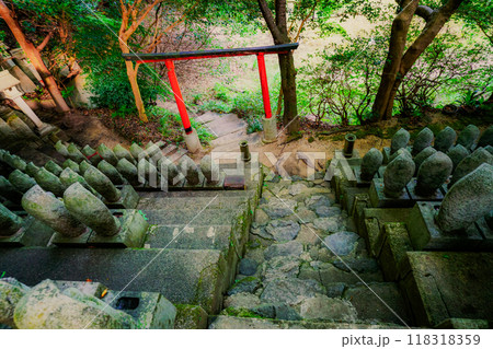 奈良県桜井市三輪所在するパワースポット八大竜王 辯財天 大神 龗神神社を撮影 118318359
