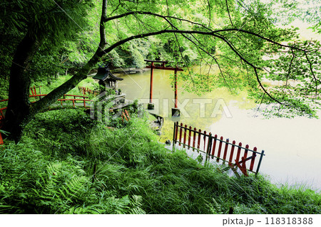 奈良県桜井市三輪所在するパワースポット八大竜王 辯財天 大神 龗神神社を撮影 118318388
