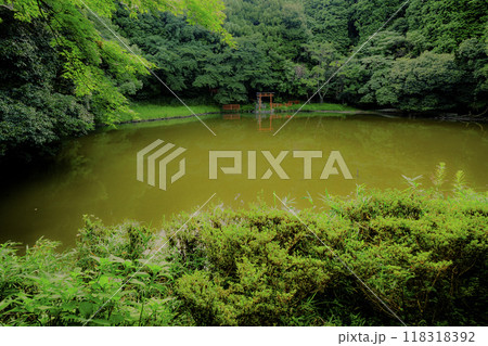 奈良県桜井市三輪所在するパワースポット八大竜王 辯財天 大神 龗神神社を撮影 118318392