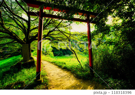 奈良県桜井市三輪所在するパワースポット八大竜王 辯財天 大神 龗神神社を撮影 118318396