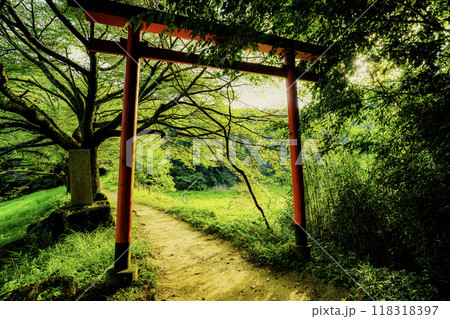 奈良県桜井市三輪所在するパワースポット八大竜王 辯財天 大神 龗神神社を撮影 奈良県桜井市三輪所在するパワースポット八大竜王 辯財天 大神 龗神神社を撮影 118318397
