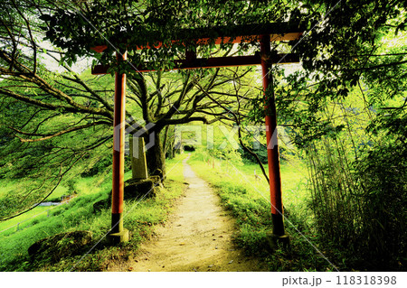 奈良県桜井市三輪所在するパワースポット八大竜王 辯財天 大神 龗神神社を撮影 奈良県桜井市三輪所在するパワースポット八大竜王 辯財天 大神 龗神神社を撮影 118318398
