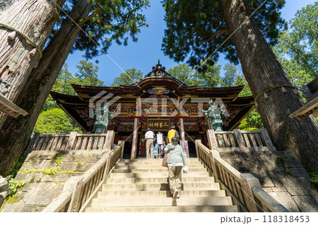 埼玉県秩父市　三峯神社　本殿と御神木 118318453