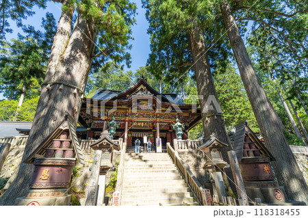 埼玉県秩父市　三峯神社　本殿と御神木 118318455