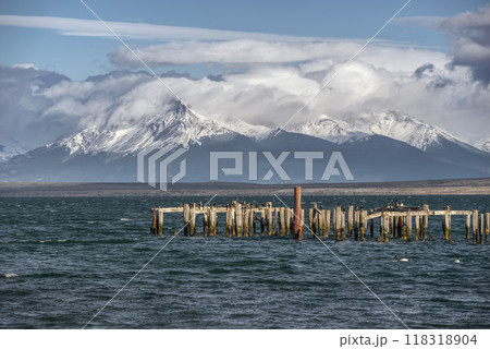 Puerto Natales Braun and Blanchard pier and White-breasted Cormorants 118318904