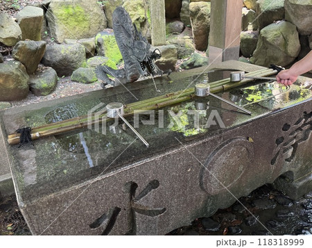 龍の口から手水 龍の口から手水 118318999
