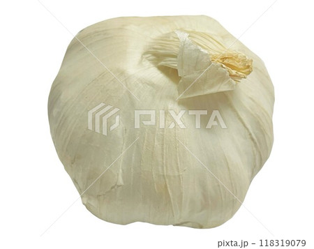 ニンニクの写真素材 ニンニクの写真素材 118319079