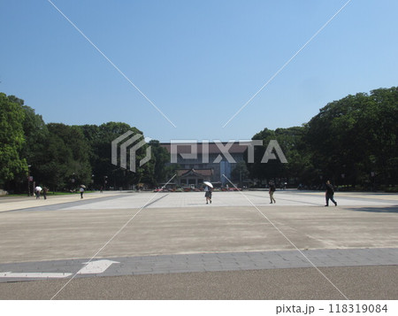 上野公園 夏の朝 上野公園 夏の朝 118319084
