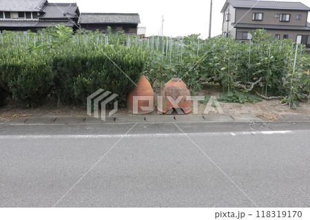 イチジク畑と昔つかっていた肥がめ イチジク畑と昔つかっていた肥がめ 118319170