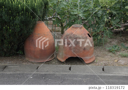 イチジク畑と昔つかっていた肥がめ イチジク畑と昔つかっていた肥がめ 118319172