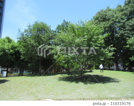 日暮里南公園 118319176