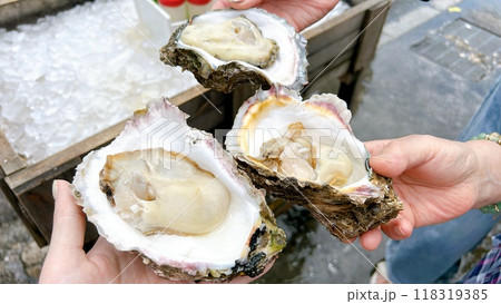 おさかな市場で食べた新鮮な生牡蠣 おさかな市場で食べた新鮮な生牡蠣 118319385