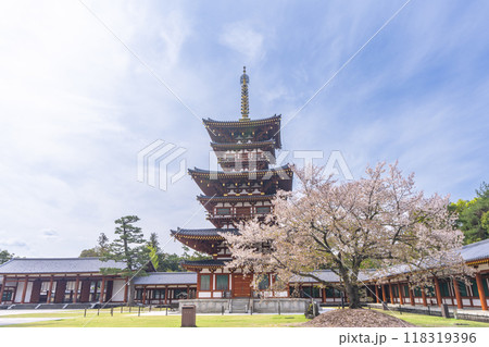 奈良　薬師寺　西塔と桜 118319396