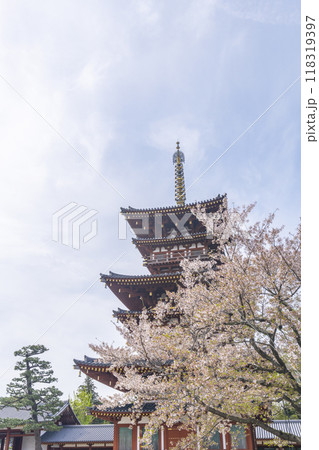 奈良　薬師寺　西塔と桜 118319397
