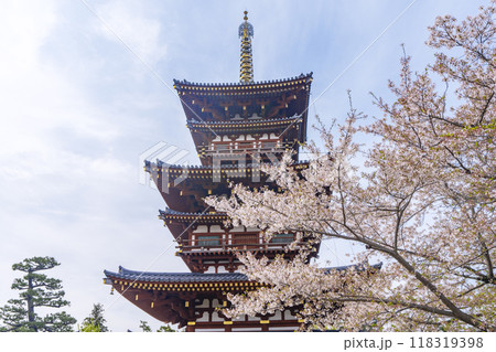 奈良　薬師寺　西塔と桜 118319398